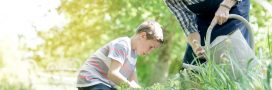 Pas de répit dans les jardins : comment jardiner en août