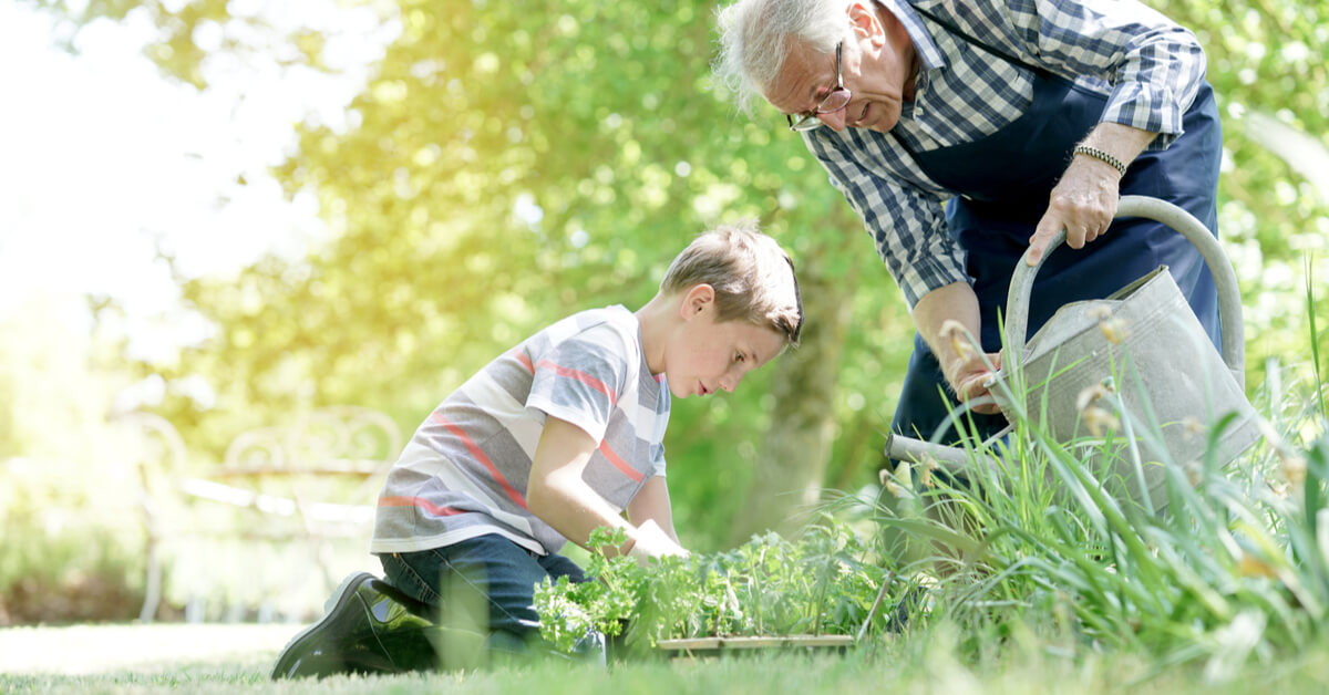 Pas de répit dans les jardins : comment jardiner en août