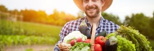 Cuisinez les fruits et légumes de saison en août : le panier AMAP