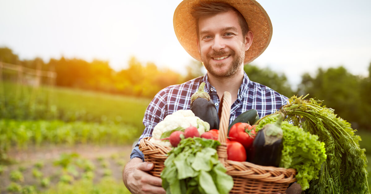 Cuisinez les fruits et légumes de saison en août : le panier AMAP