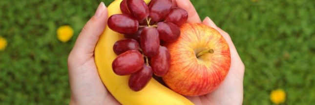 Les fruits et légumes à manger bio