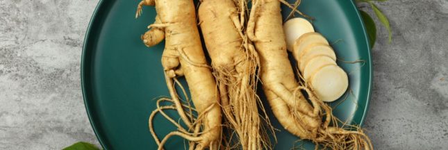 Les bienfaits du ginseng aux changements de saison : un allié santé exceptionnel