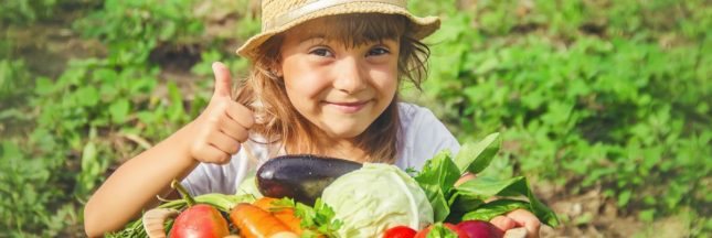 Manger de saison : les fruits, les légumes et produits de saison, mois par mois