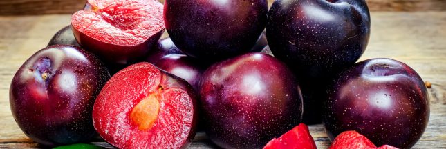 variété de prune