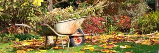 Jardiner en automne : les gestes indispensables pour un jardin prospère