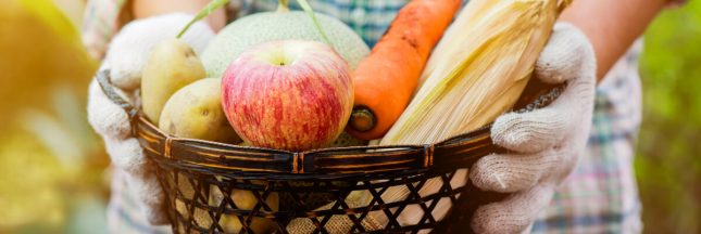 légumes de saison octobre