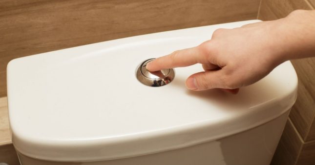 Les lingettes dans les toilettes : un geste à proscrire - Siare