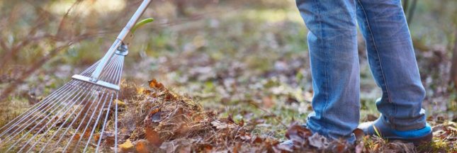 Réaliser un terreau de feuilles mortes