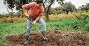 Préparer son sol pour l'hiver : comment l'amender et travailler la terre en automne ?