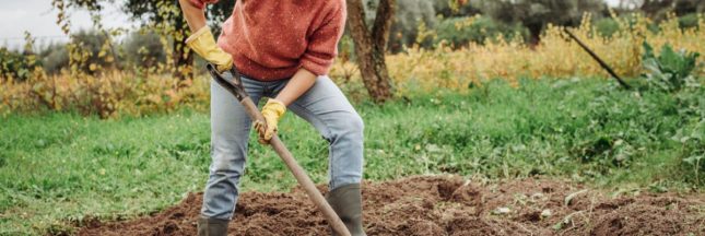 Amender son sol et le préparer pour l'automne