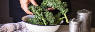 Le chou kale :  un chou frisé très vitaminé, idéal en hiver