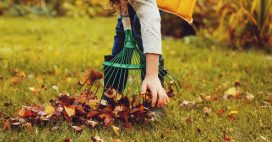 Que faire au jardin en novembre : les gestes essentiels au jardin bio