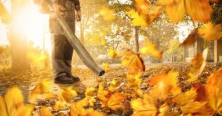 Les souffleurs de feuilles, un fléau