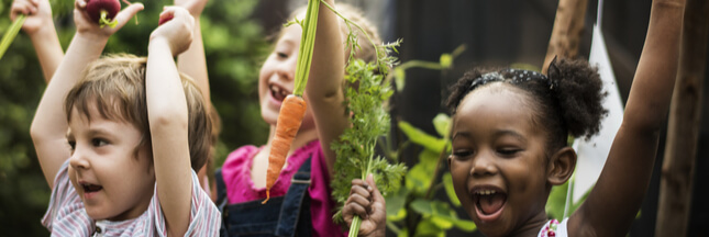 Lancement de la 1ere coupe de France des potagers : inscrivez votre école !