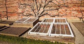 Potager en hiver : comment cultiver sous serre châssis, pour profiter de la saison froide ?