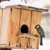 Installer un nichoir au jardin : les règles à respecter pour aider les oiseaux