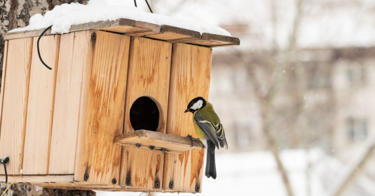 maison d'oiseau pour l'extérieur, maison d'oiseau en bois faite à