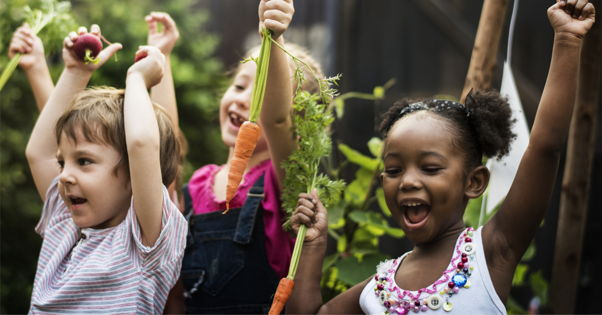 Lancement De La 1ere Coupe De France Des Potagers Inscrivez Votre Ecole