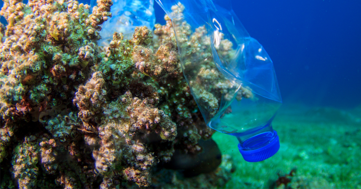 Microplastiques dans les océans : le point de non retour est-il atteint ?