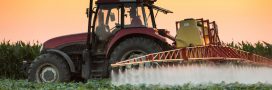 Cancer de la prostate : 22 pesticides seraient en cause