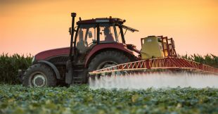 Cancer de la prostate : 22 pesticides seraient en cause