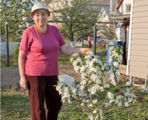 comment faire pour avoir un arbre fruitier nain