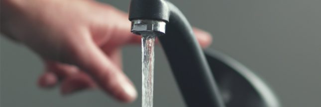 pesticides eau du robinet