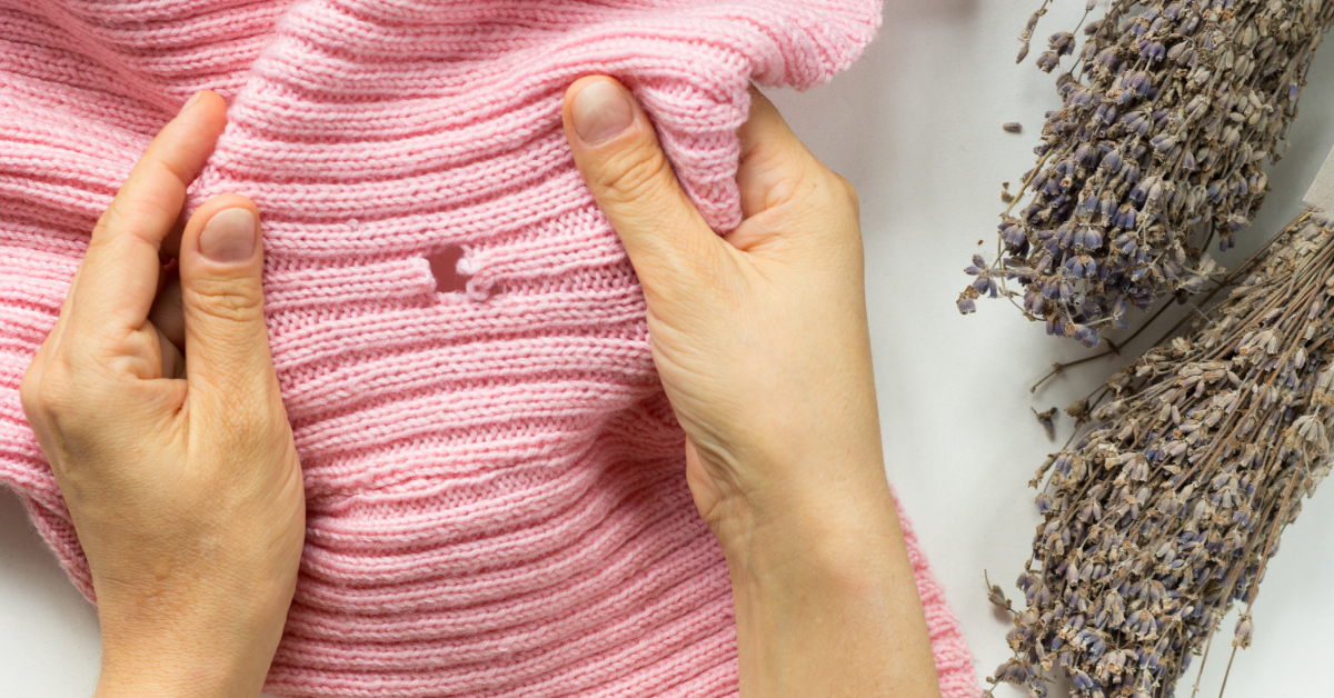 Mites de vêtements : saviez-vous que certaines odeurs sont des répulsifs  naturels anti-mites ? - Voici