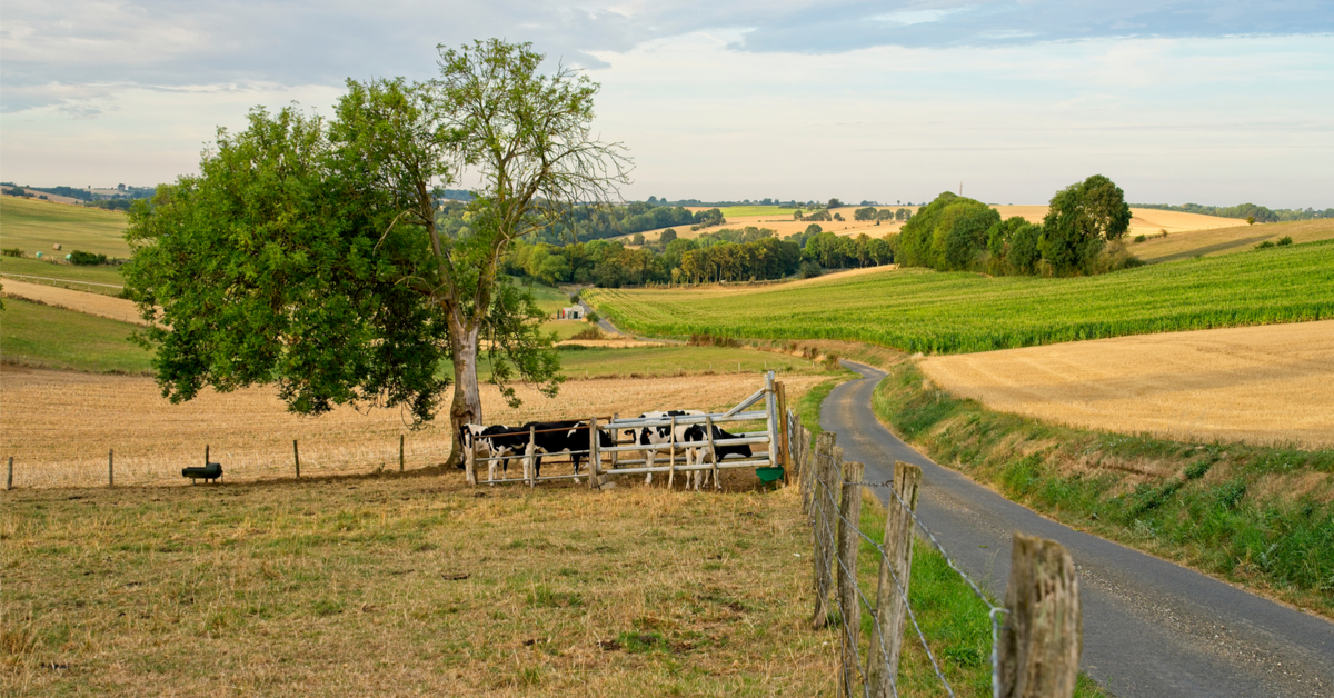 Une agriculture européenne bio et autosuffisante, c'est possible dit le CNRS