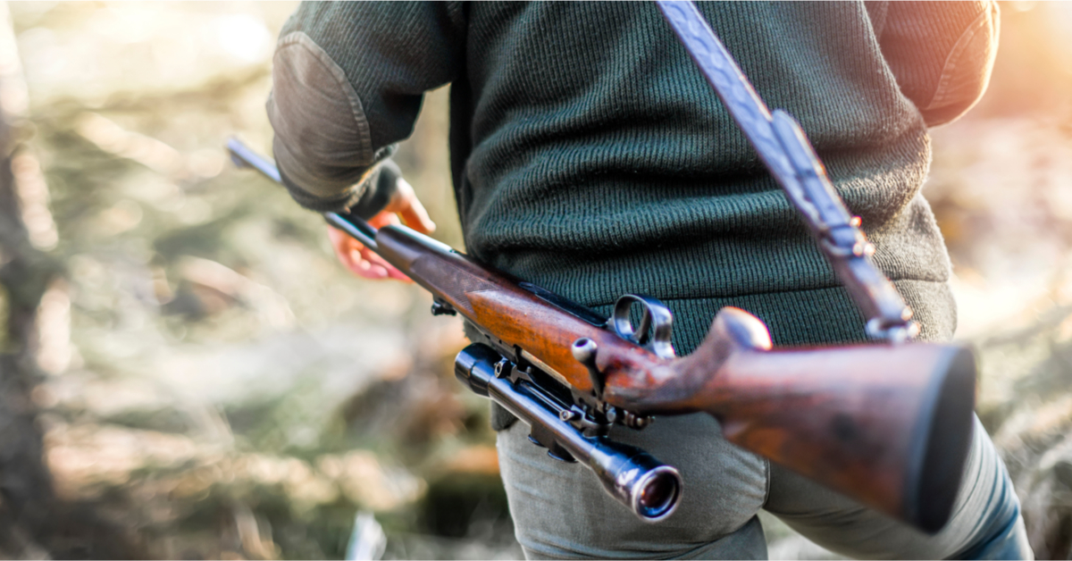 One Voice dénonce l'affligeant business de la chasse en enclos