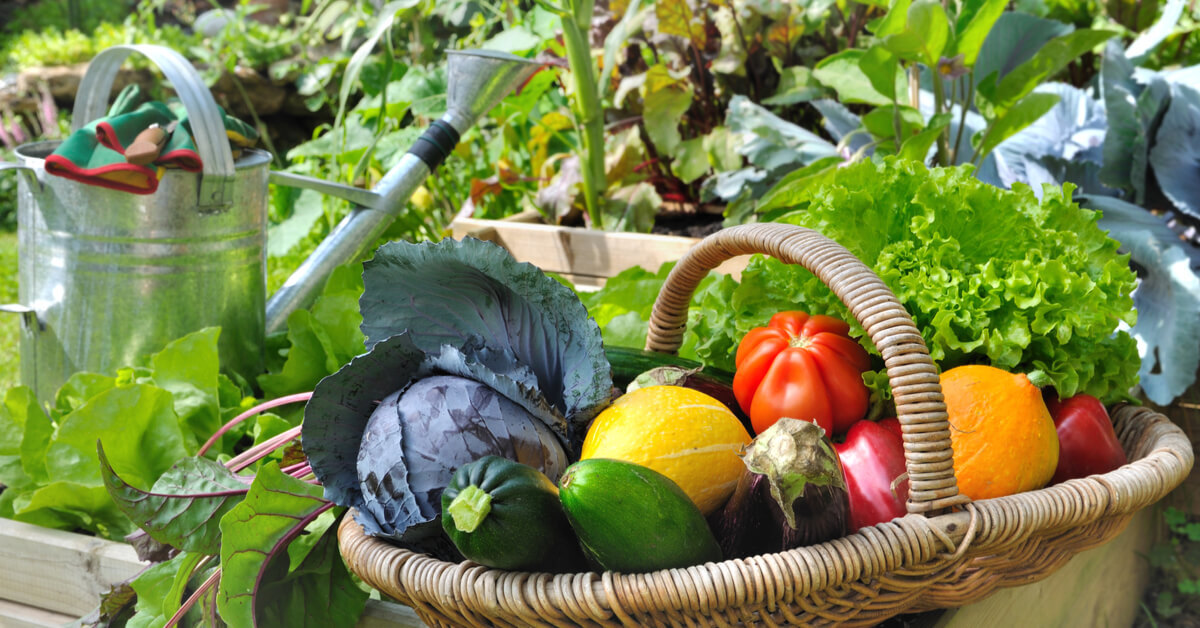 Le zéro déchet, ça passe aussi par le jardin !