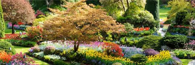 jardins du monde