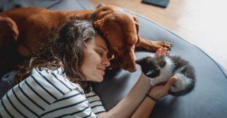 Stop aux mauvaises odeurs de la litière du chat : les meilleures astuces  naturelles