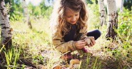 Mon enfant a mangé un champignon vénéneux, comment réagir ?