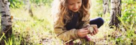 Mon enfant a mangé un champignon vénéneux, comment réagir ?