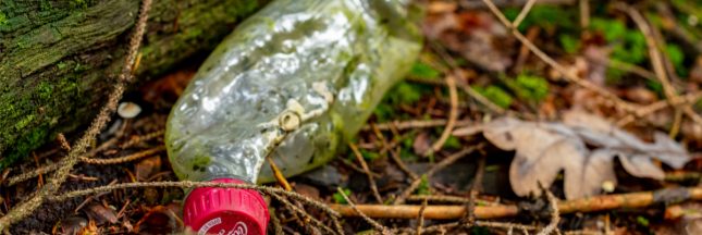 déchets Coca-Cola