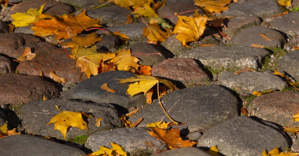 Ramasser Les Feuilles Mortes Devant Chez Soi Obligation Ou Pr Caution