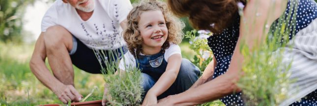 conseils jardin