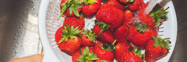 les pesticides dans les fraises