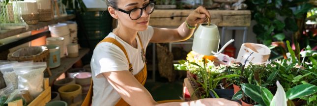 plantes fleuries d'intérieur