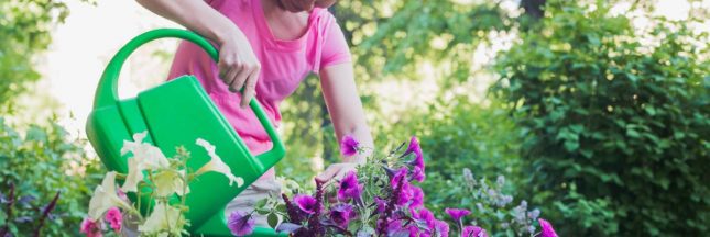 arrosage des plantes pendant les vacances