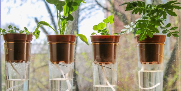 La Pousse Verte - Tuto DIY Arrosage pour les plantes en vacances