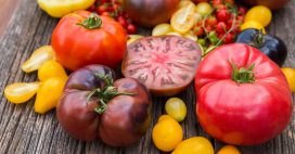 20 façons de cuisiner la tomate pour ceux qui n’aiment pas