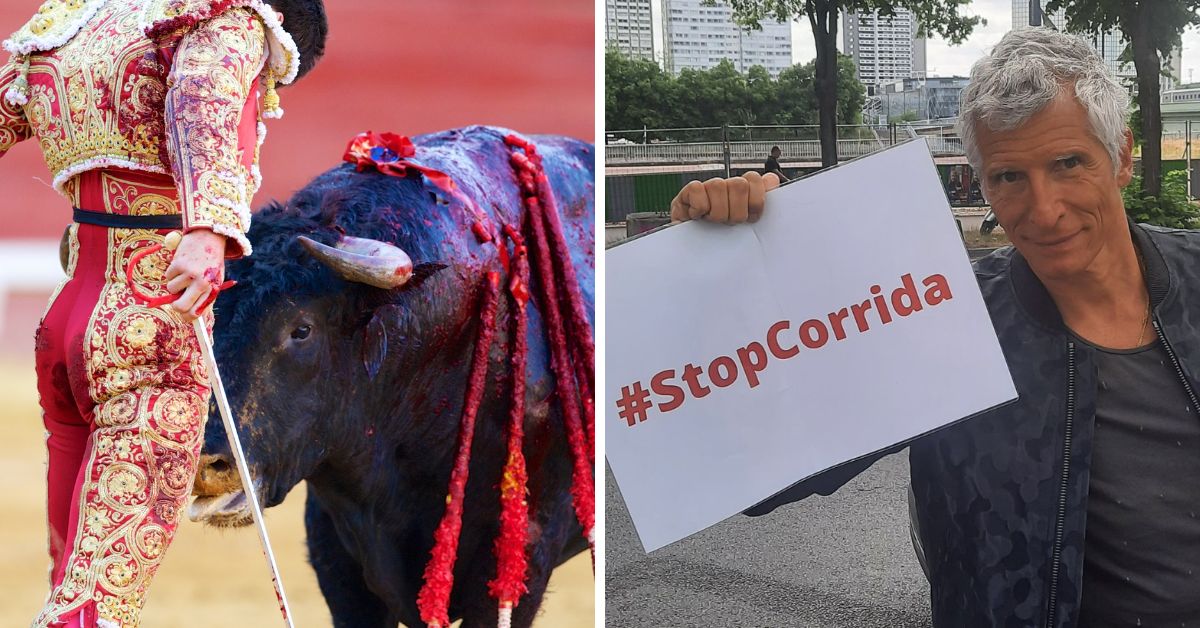 1ère Journée contre la corrida, des actions partout en France