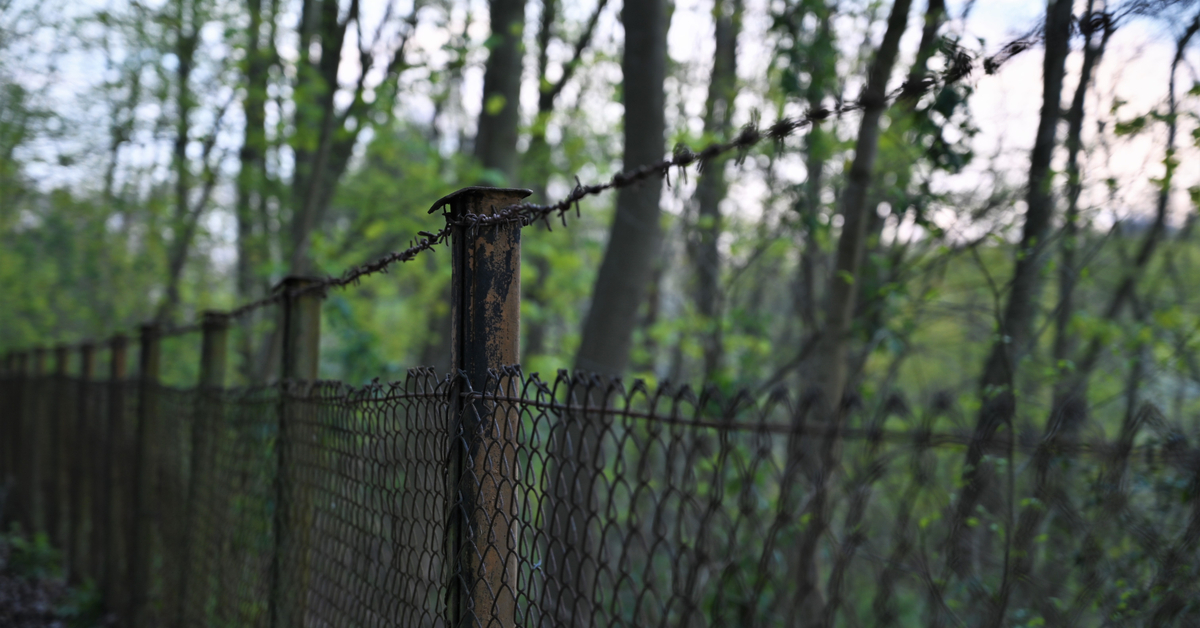 Feux : l'engrillagement de la forêt de Sologne fait de nouveau polémique