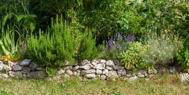 Que faire avec des pierres dans un jardin ? – Blog BUT