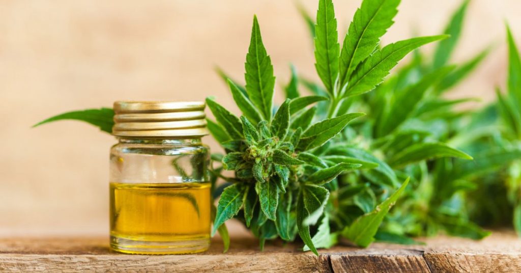 Bienfaits Et Utilisation D Couvrez Tous Les Secrets Du Cbd