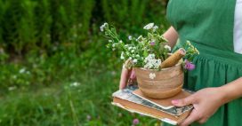 12 plantes médicinales incontournables qui soignent bien des maux