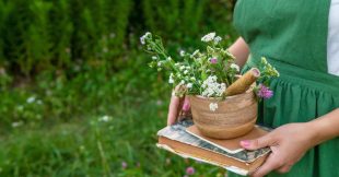 12 plantes médicinales incontournables qui soignent bien des maux