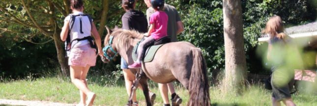 Doit-on interdire les balades à poney ?